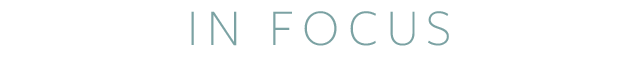 infocus_type_640w.png