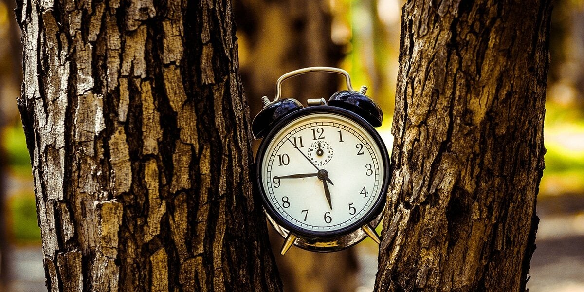 clock_alarm_trees