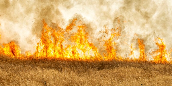 Field on fire