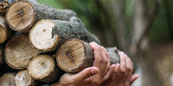 hands-carrying-wood