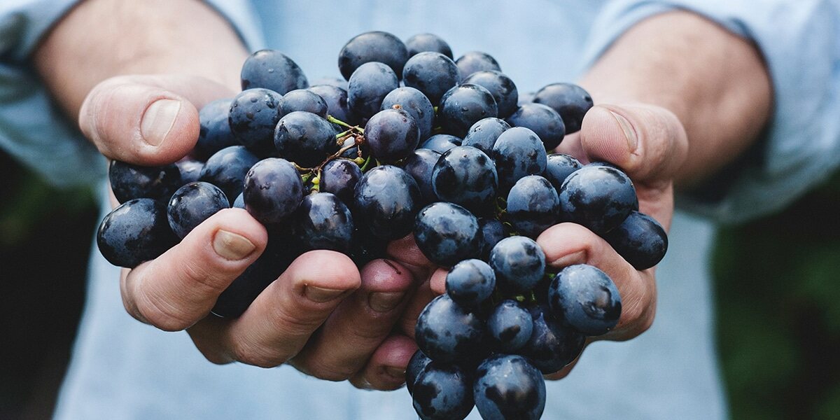 hands_red_grapes