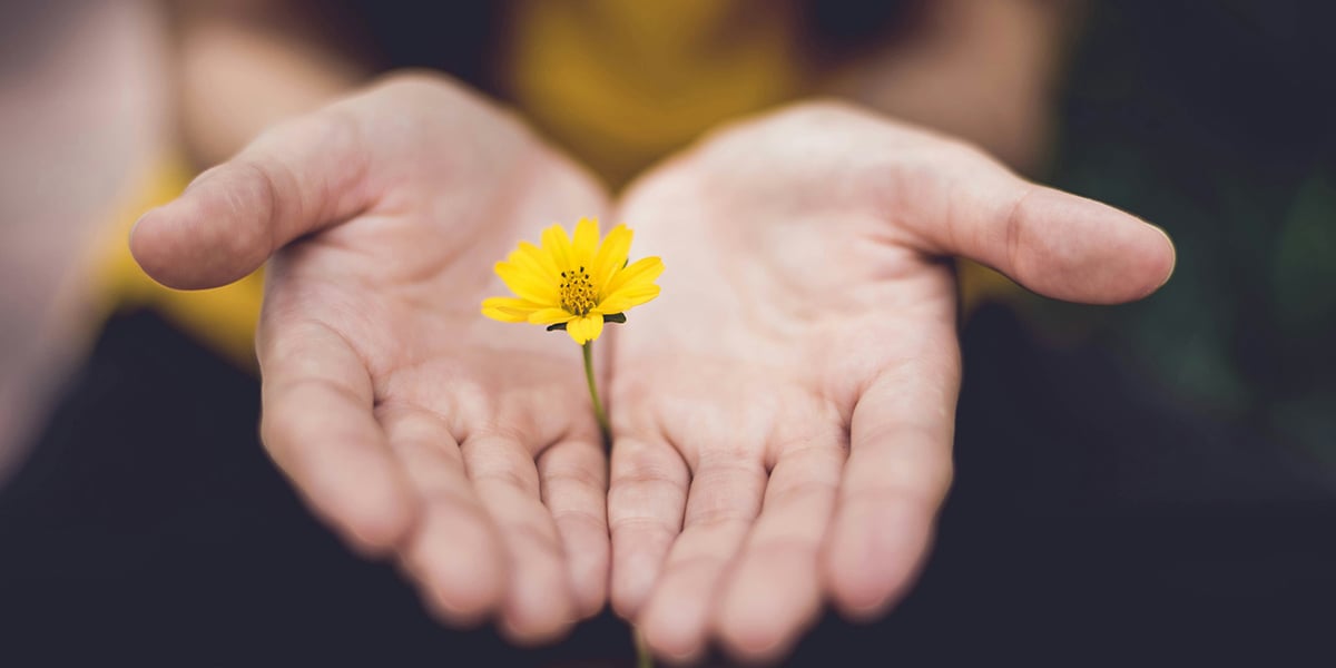 hands_yellow_flower