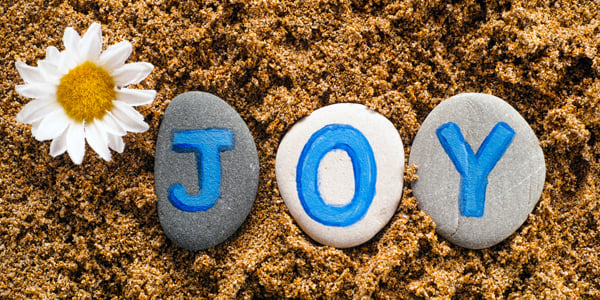 rocks painted with the word joy