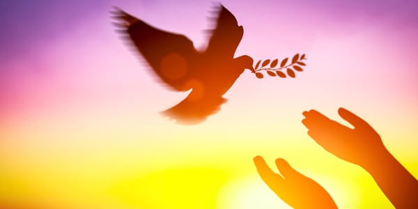 peace-hands-dove