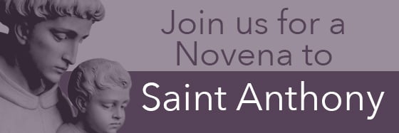 saint-anthony-novena-signup