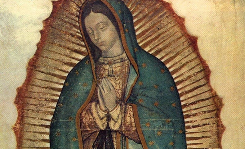 www.franciscanmedia.orgwp-contentuploads202211our-lady-of-guadalupe