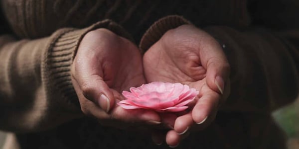 woman-holding-a-flower
