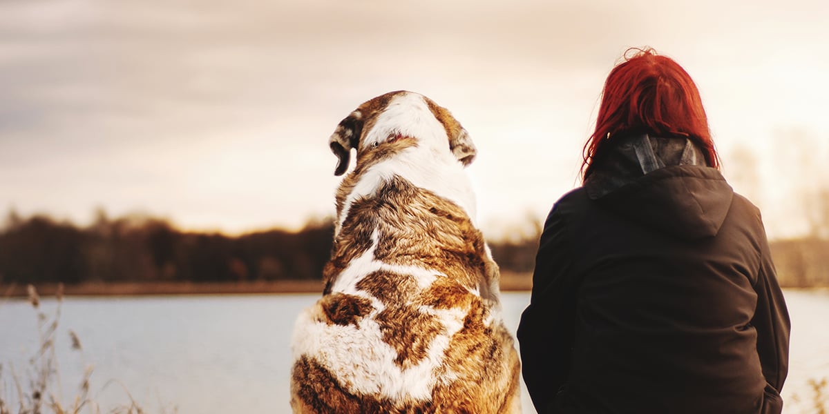 woman_dog_lake