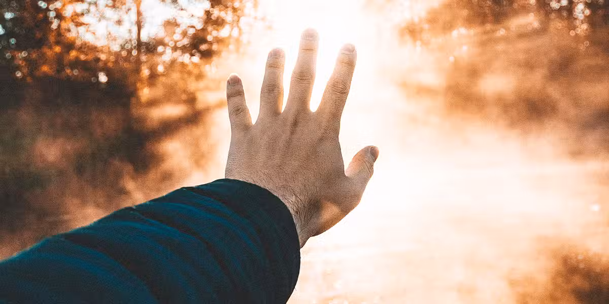 hand_light_woods