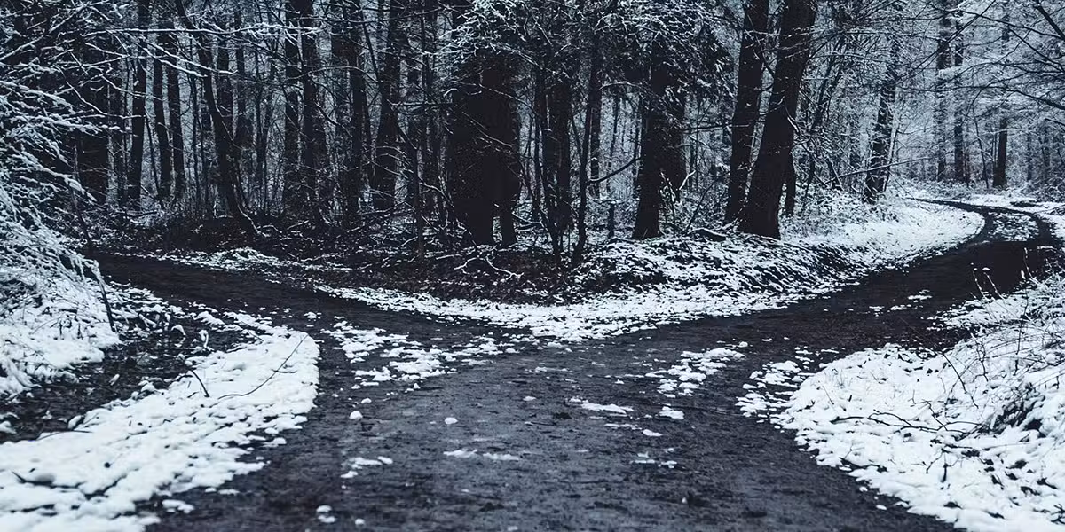 two_paths_forest